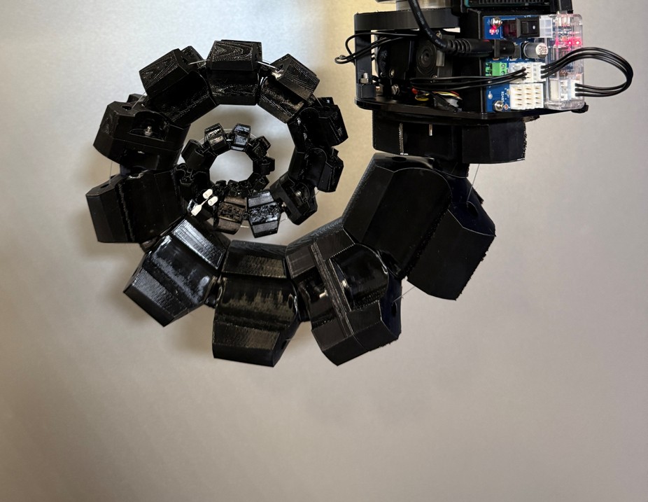 The fully soft robot in its curled state.